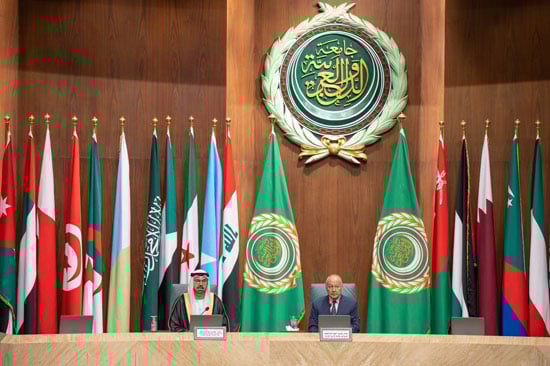 الدكتور أحمد أبو الغيط ة