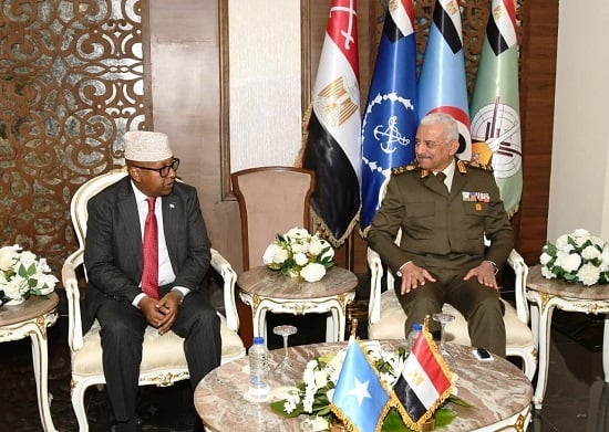 وزير الدفاع والفريق أحمد خليفة يعقدان عدد من اللقاءات الثنائية (5)