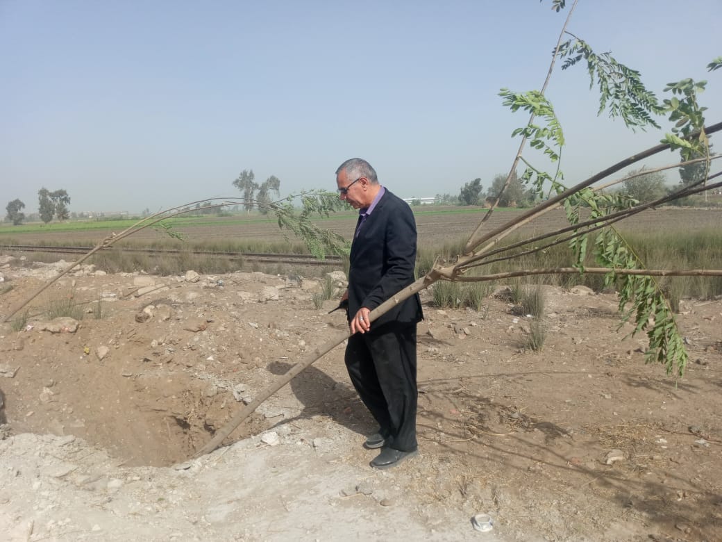 الدقهلية تُطلق أكبر حملة للتشجير  (1)