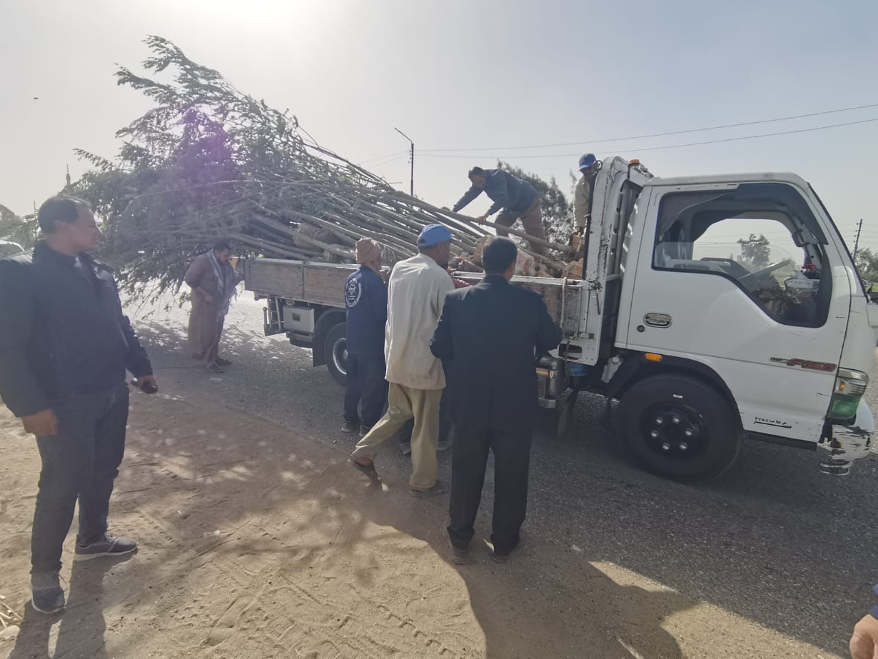 الدقهلية تُطلق أكبر حملة للتشجير  (5)