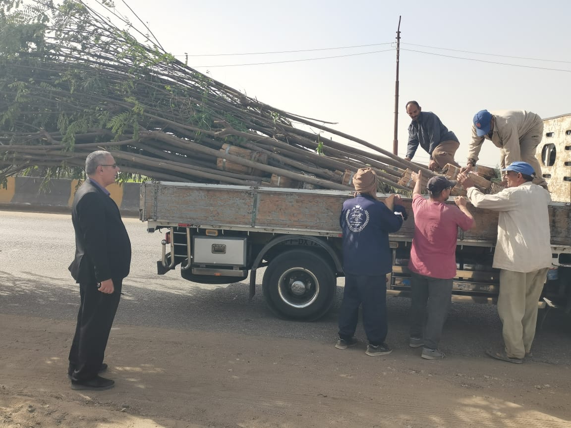 الدقهلية تُطلق أكبر حملة للتشجير  (3)