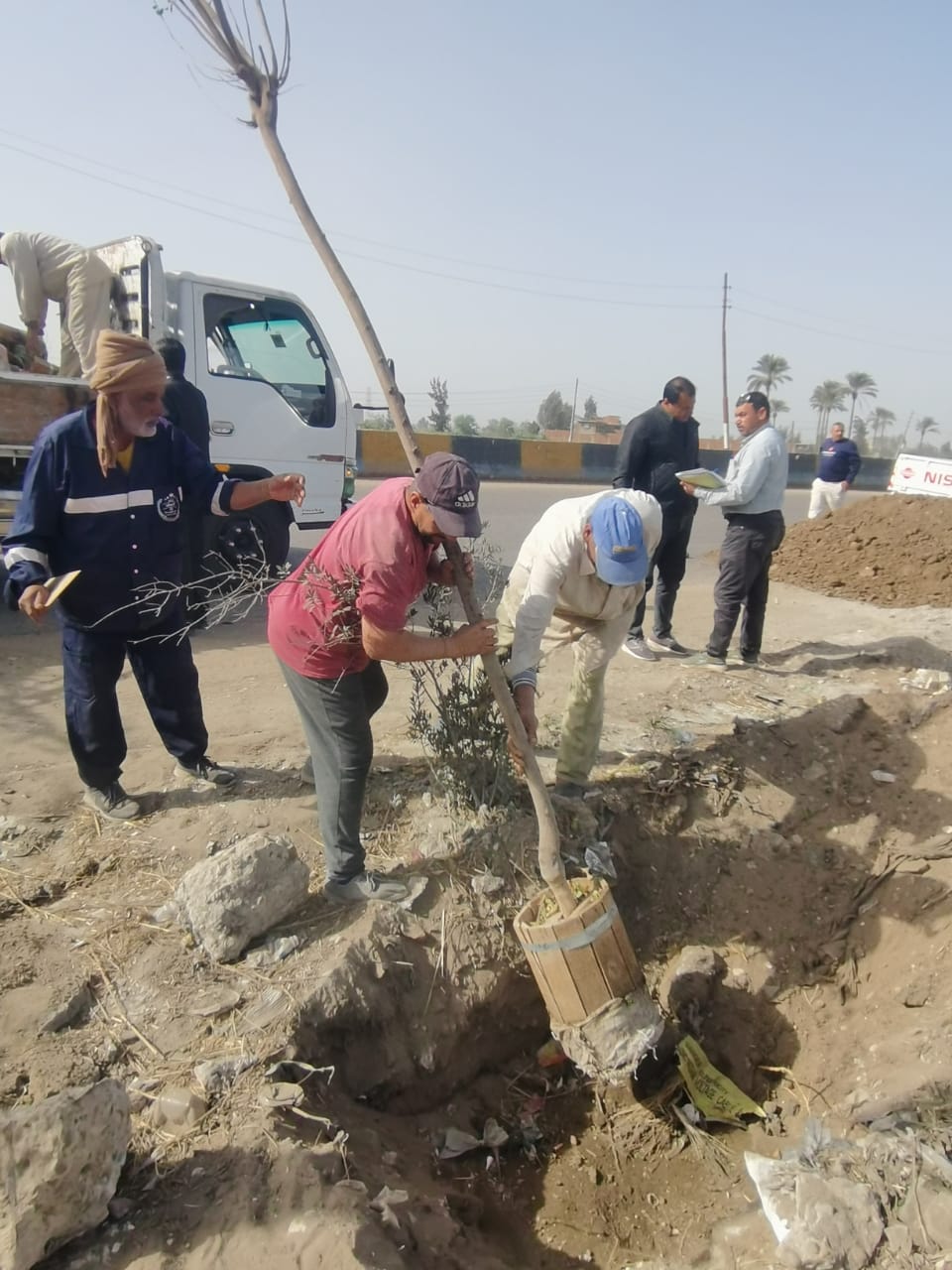 الدقهلية تُطلق أكبر حملة للتشجير  (4)