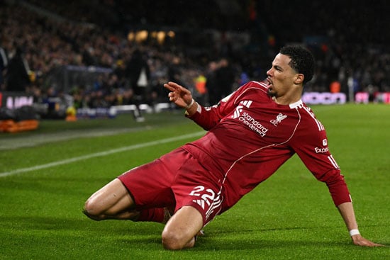 هوجو إيكيتيكي يحتفل بالهدف