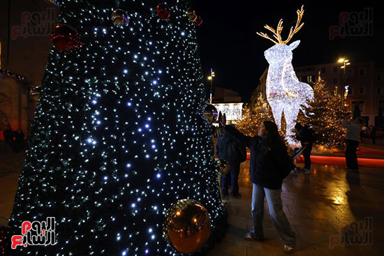 التقاط الصور التذكارية لشجرة عيد الميلاد التقاط الصور التذكارية لشجرة عيد الميلاد