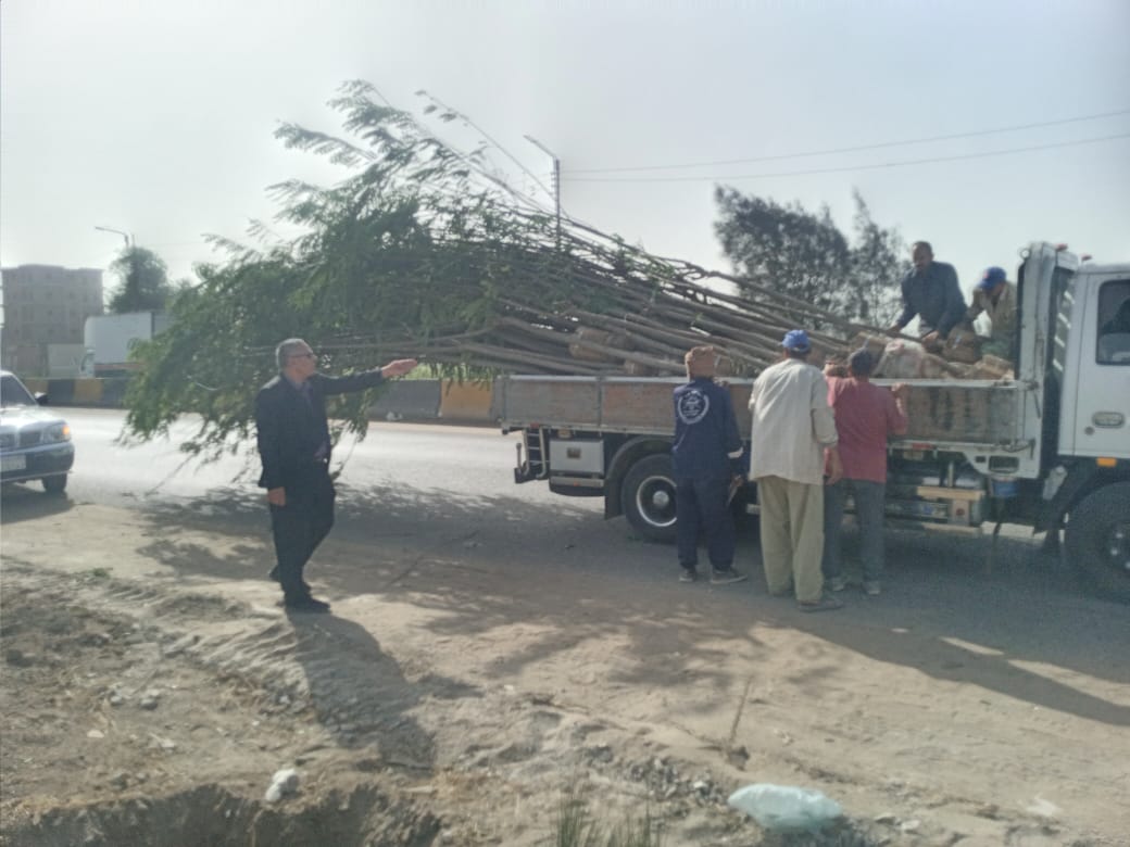 الدقهلية تُطلق أكبر حملة للتشجير  (2)