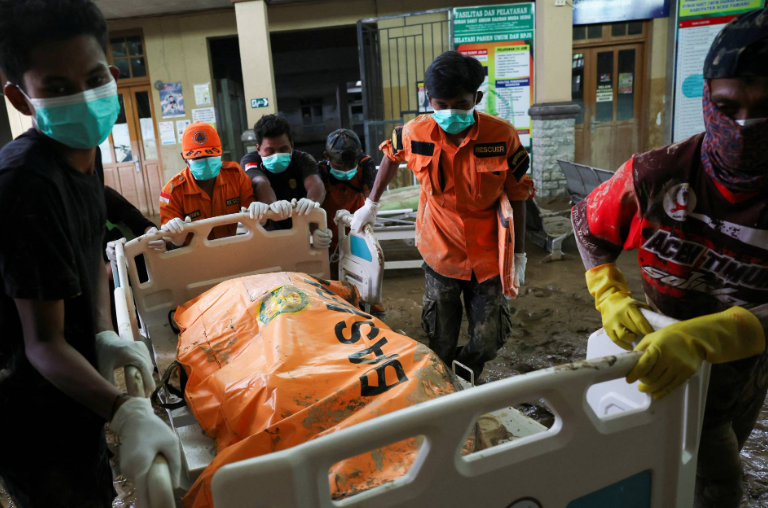 نقل الجثامين