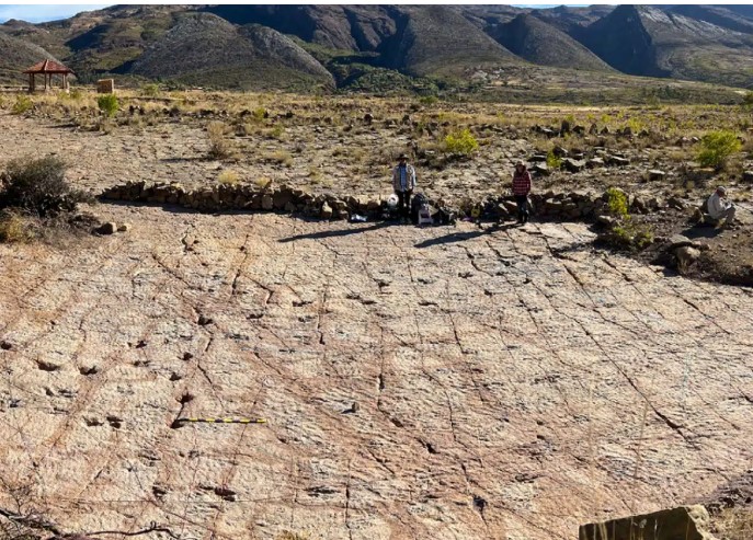 آثار أقدام ديناصورات آثار أقدام ديناصورات