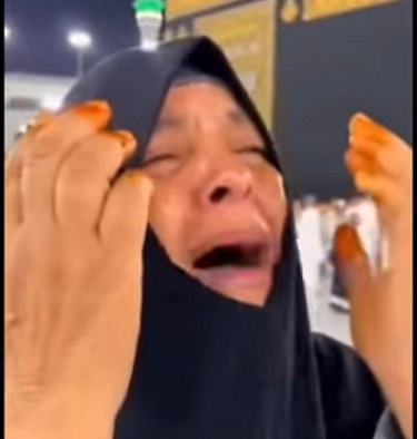 مقطع متداول