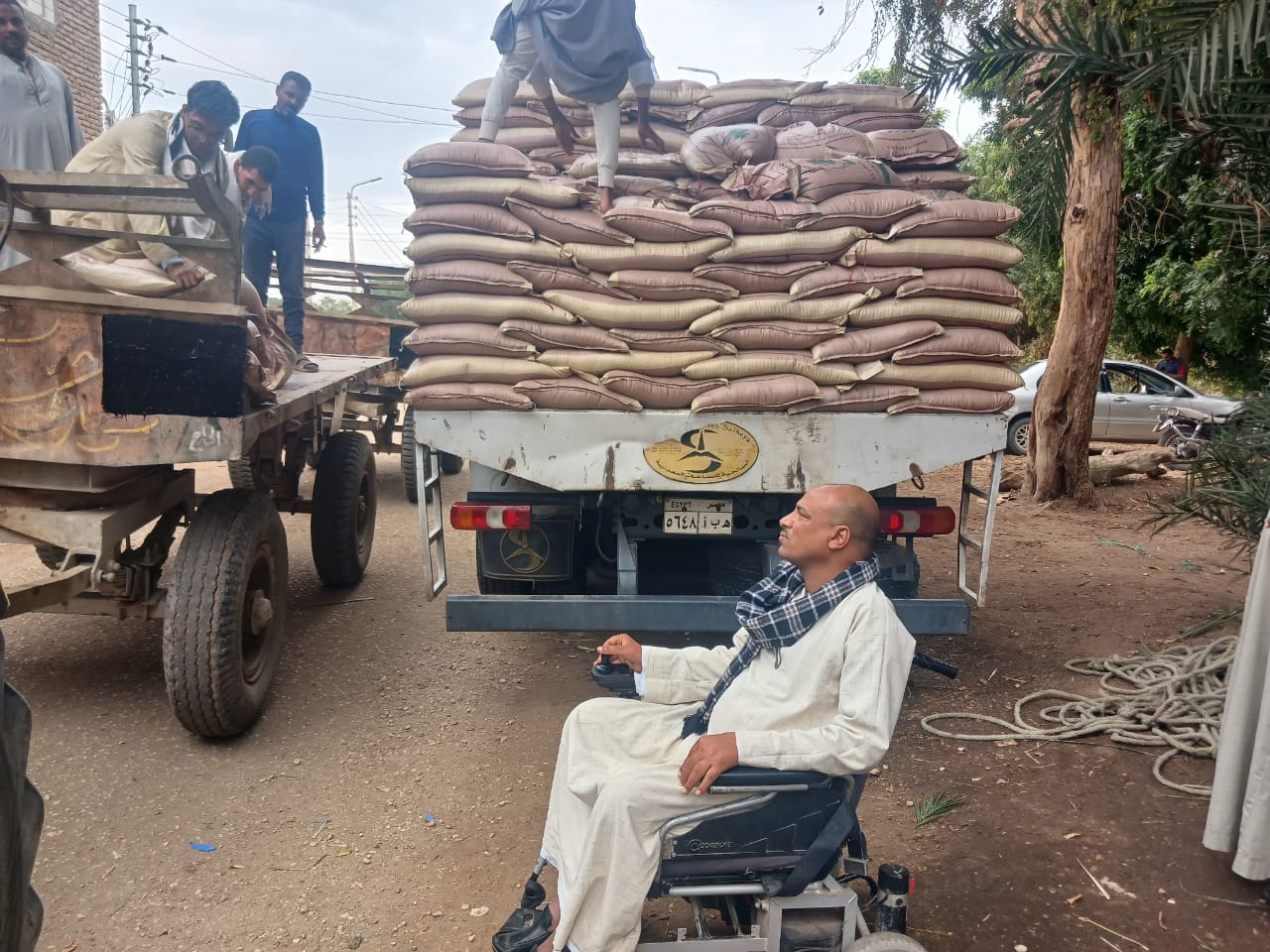 تسليم تقاوى القمح تحت مظلة التحالف الوطني فى الأقصر