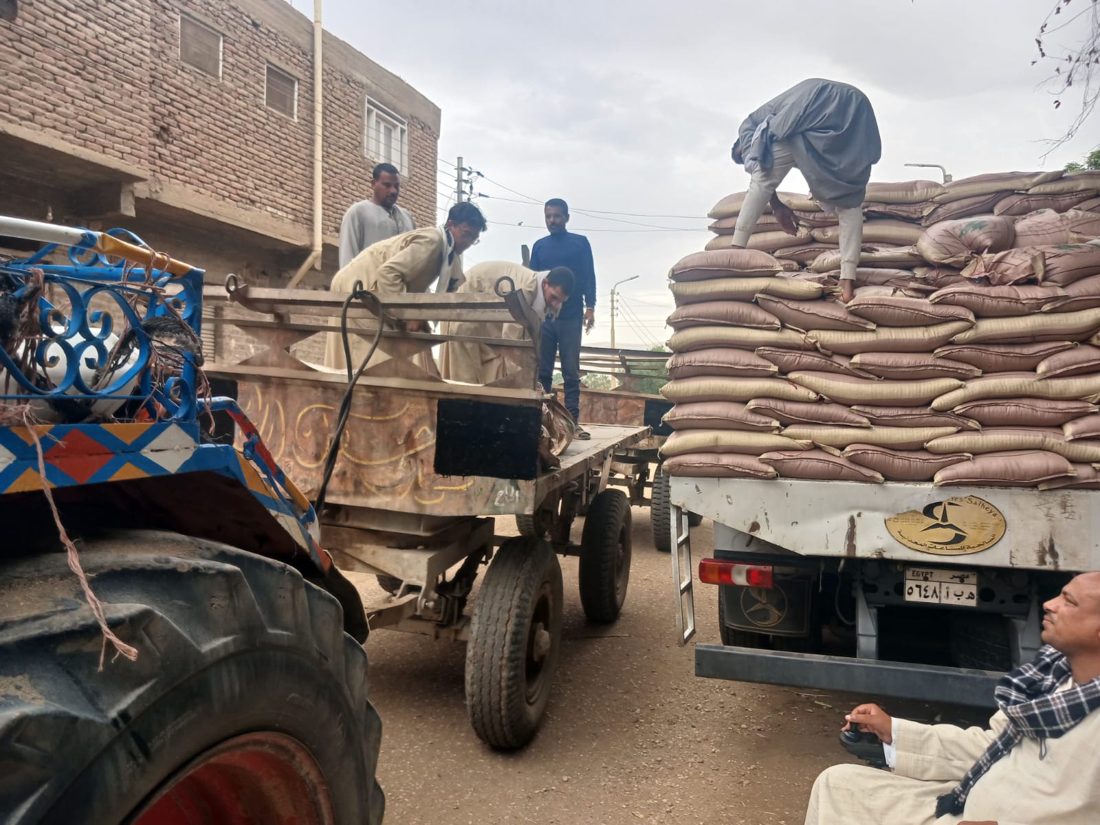 تسليم تقاوي القمح في الأقصر ضمن مبادرة ازرع