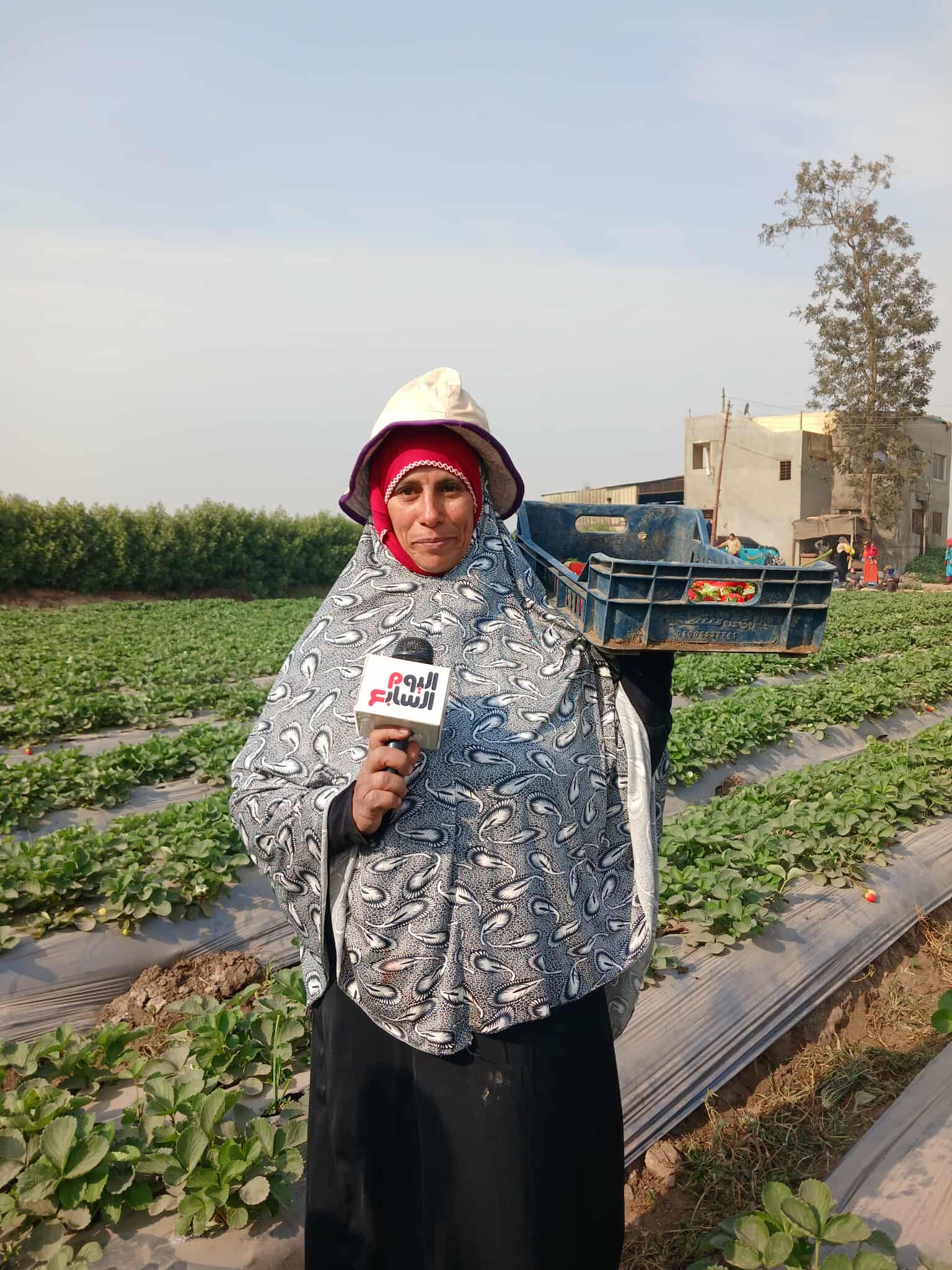 الايادى الناعمة