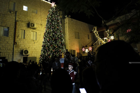 شجرة عيد الميلاد