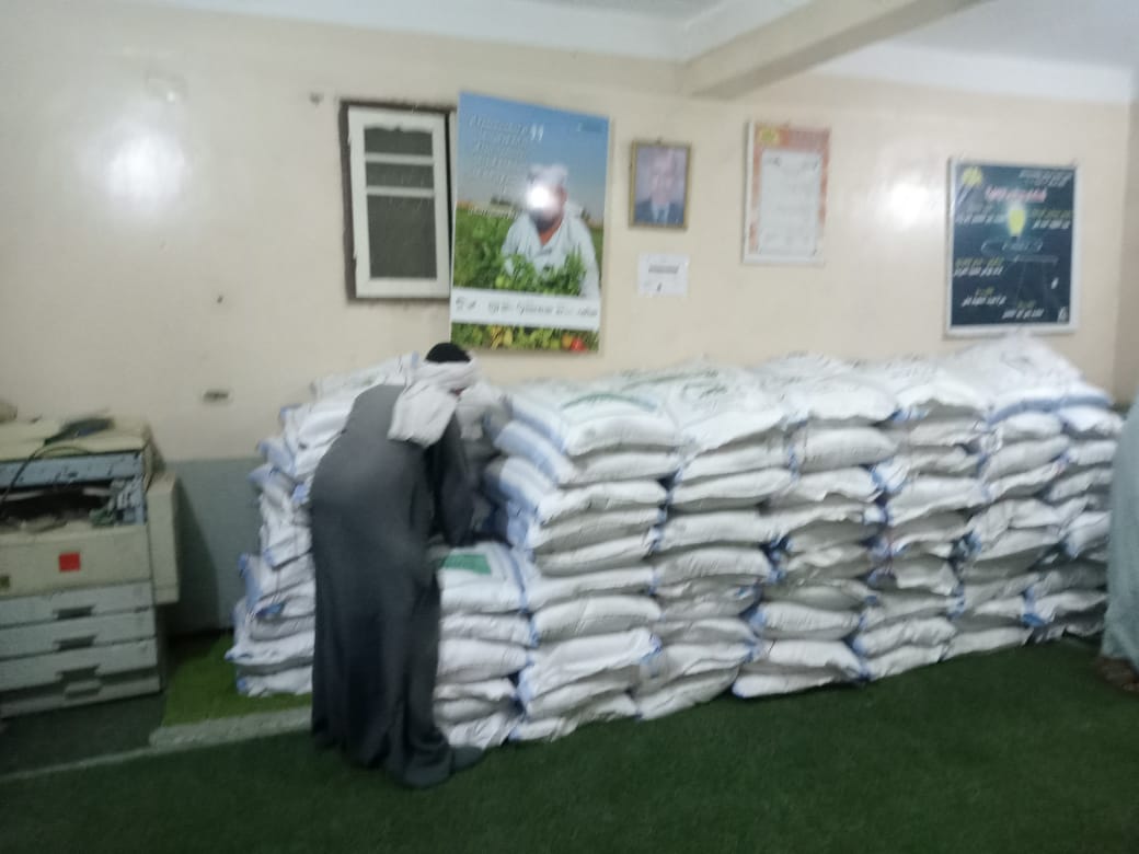 المرحلة الثانية من تسليم تقاوي القمح في الأقصر ضمن مبادرة ازرع