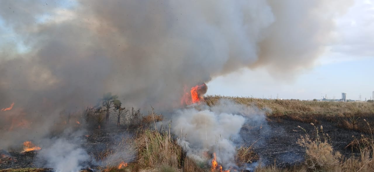 حريق هيش غرب الإسكندرية حريق هيش غرب الإسكندرية