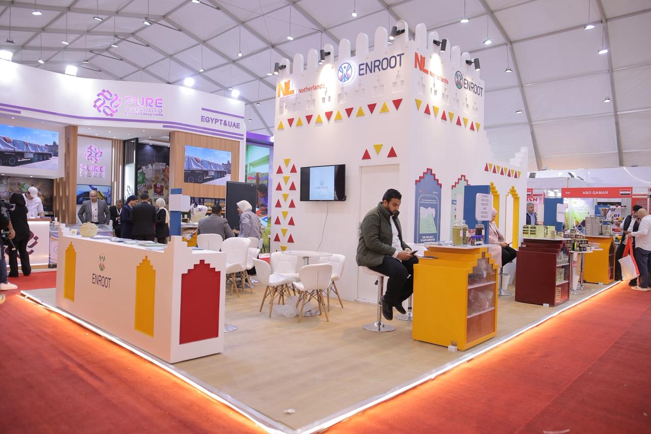 الجناح الجنوبى الجناح الجنوبى