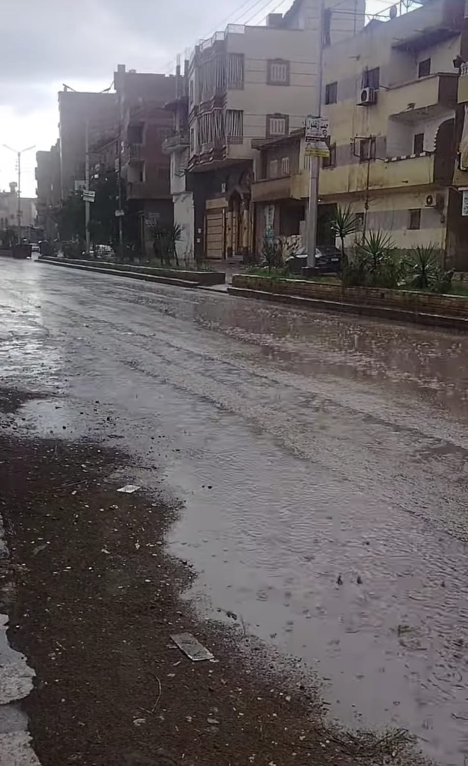 هطول الامطار فى الدقهلية هطول الامطار فى الدقهلية