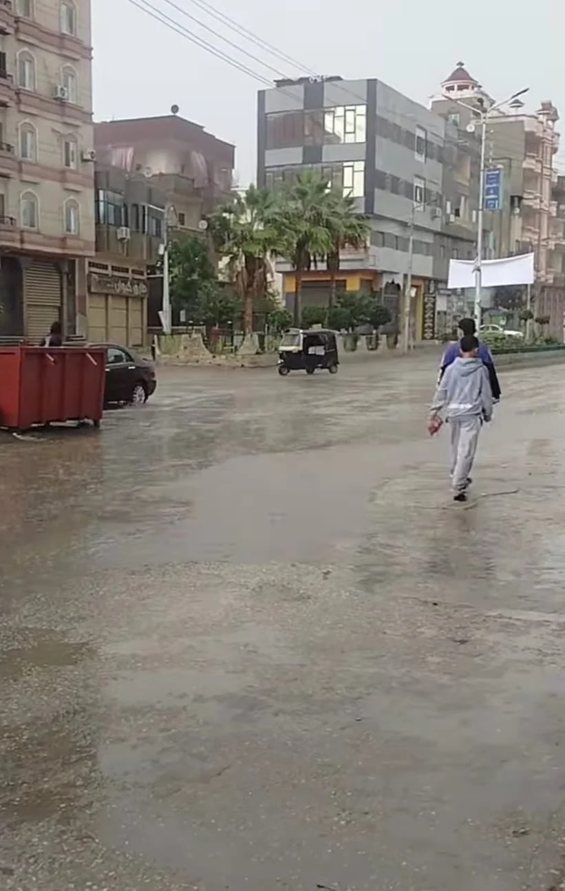 شوارع الدقهلية شوارع الدقهلية