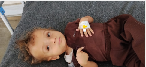 محمد أبو طعيمة