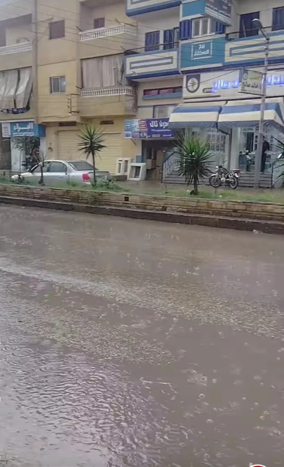 الأمطار فى الدقهلية الأمطار فى الدقهلية