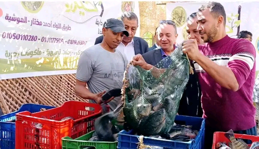 رئيس مركز الداخلة يشهد اعمال الصيد رئيس مركز الداخلة يشهد اعمال الصيد