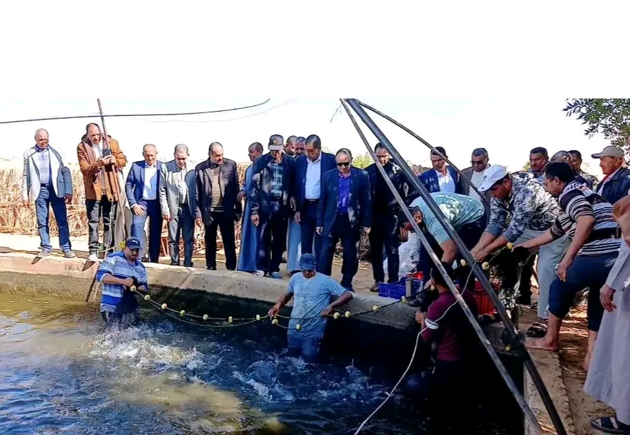 المزارع السمكية بقرى الموشية المزارع السمكية بقرى الموشية