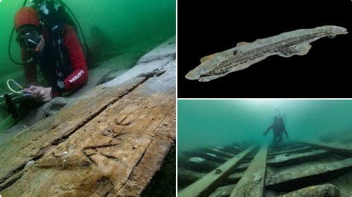 سفينة ترفيهية مصرية سفينة ترفيهية مصرية