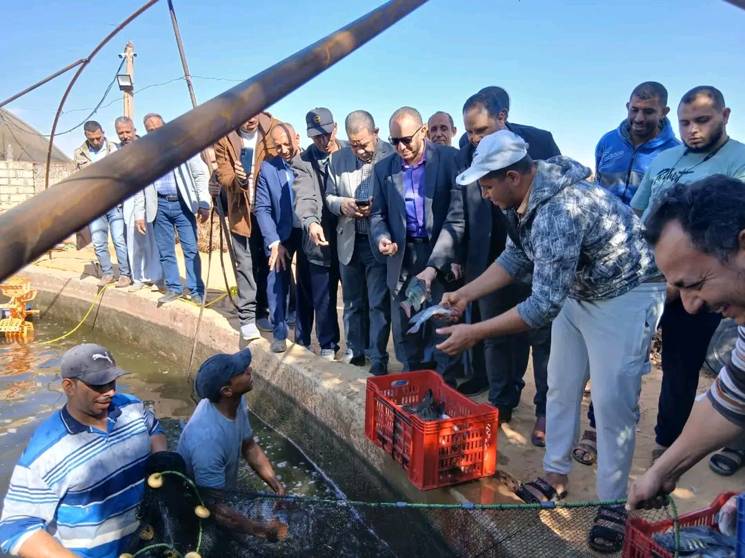 جانب من اعمال الصيد جانب من اعمال الصيد