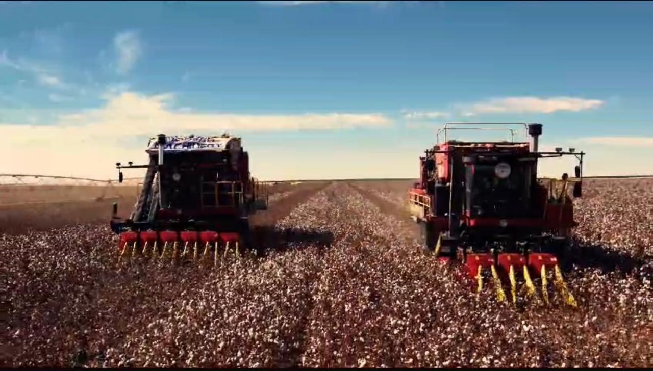 5aac3bfc-55e8-4e47-9d65-fedfb4eed47e