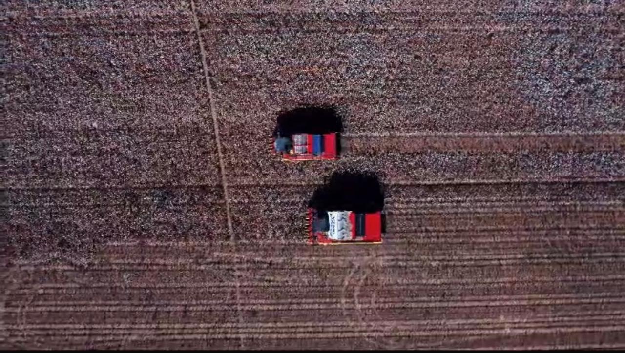 531e247e-7941-452c-acf6-38e9f995d7af