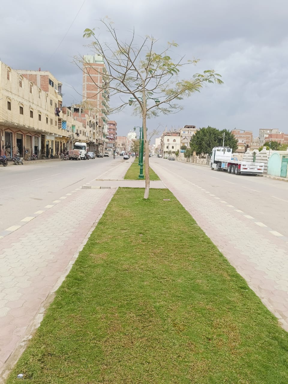 النجيل الاخضر بالممشى _1