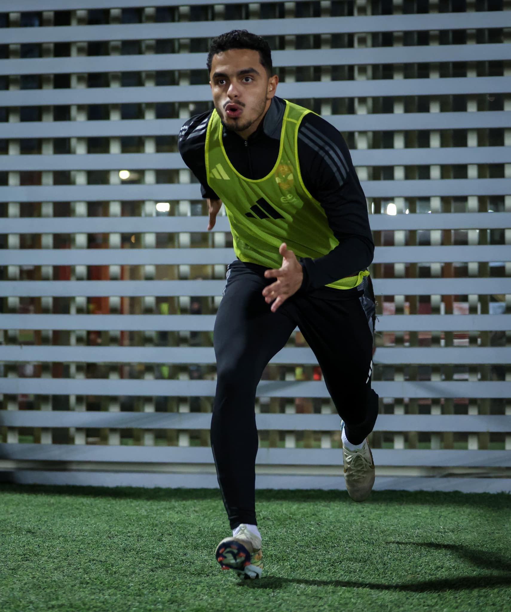 الدبيس الدبيس