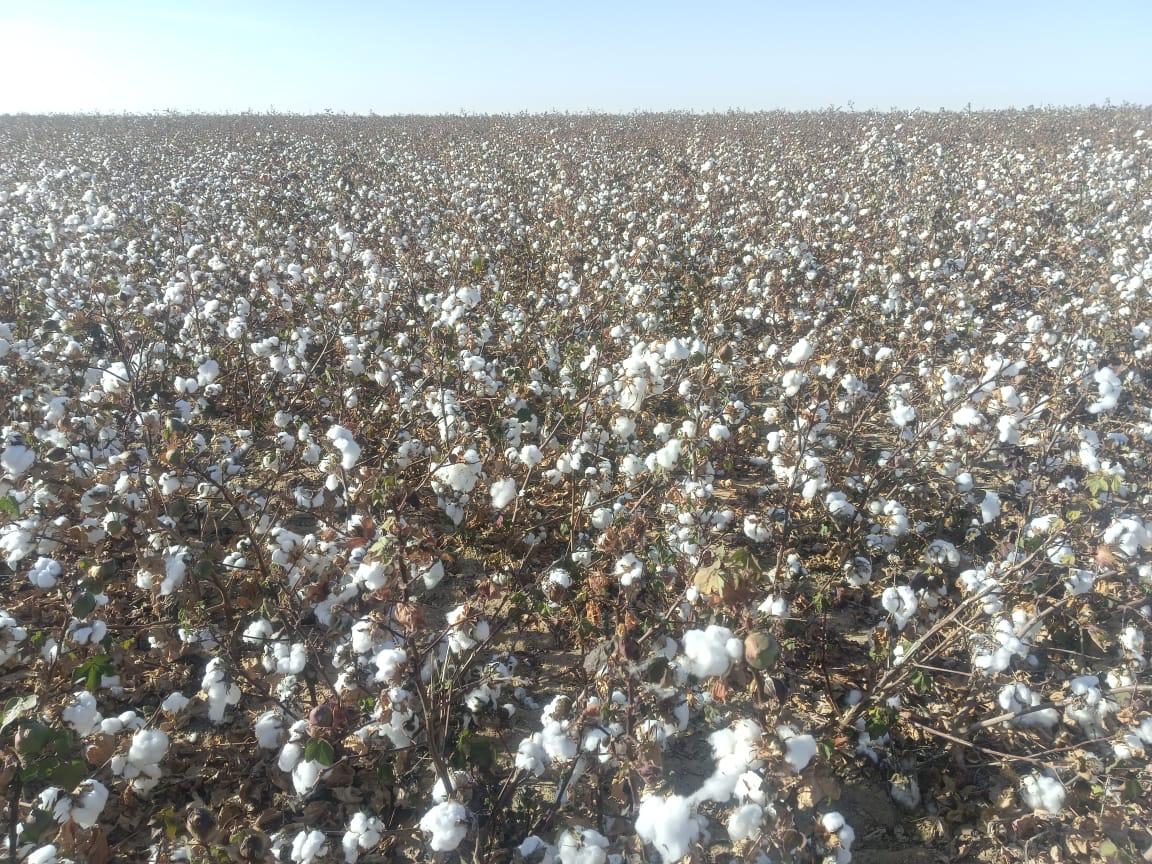 0199bf58-e43d-4184-bf71-7b15b59feeed