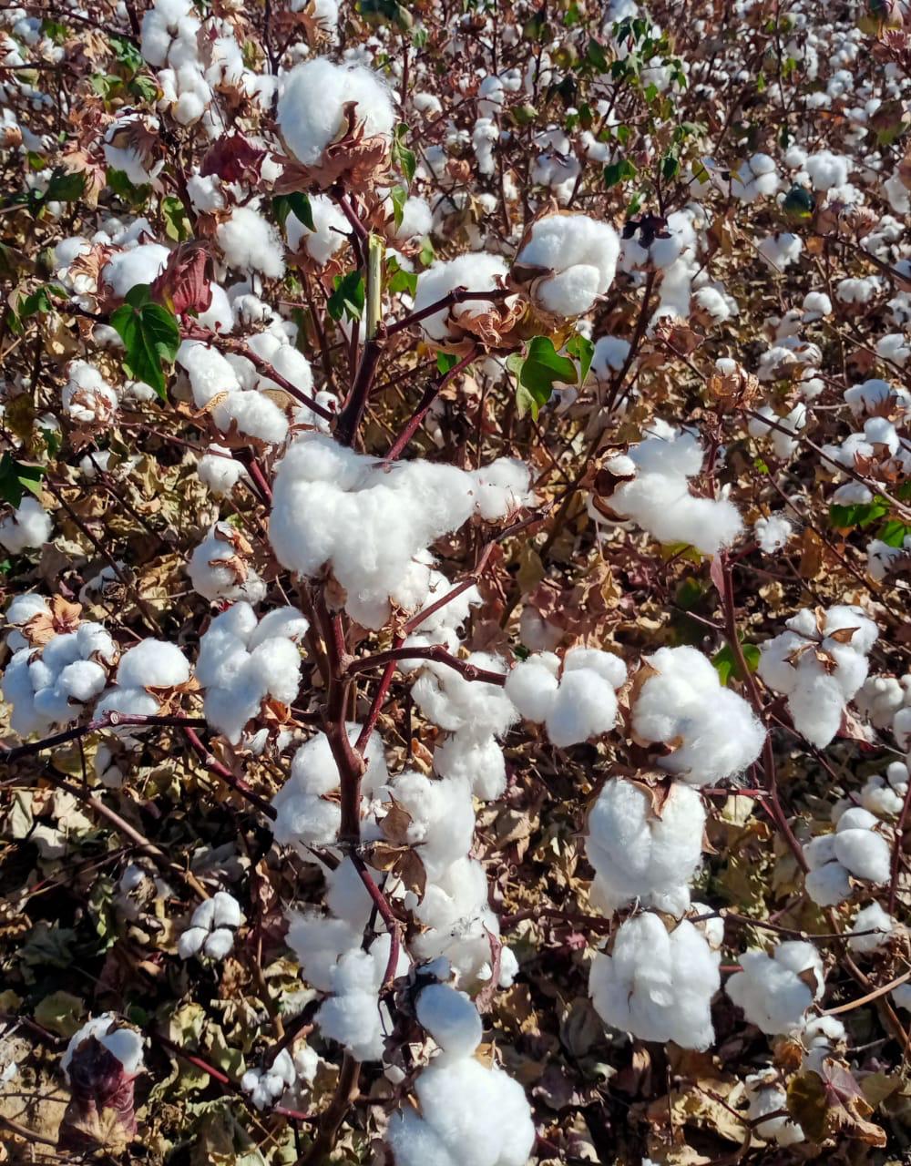 04241380-921b-47bb-b63a-3eed707bd5e0