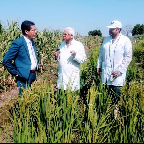 رئيس جامعة بنها يتابع الانتاج رئيس جامعة بنها يتابع الانتاج