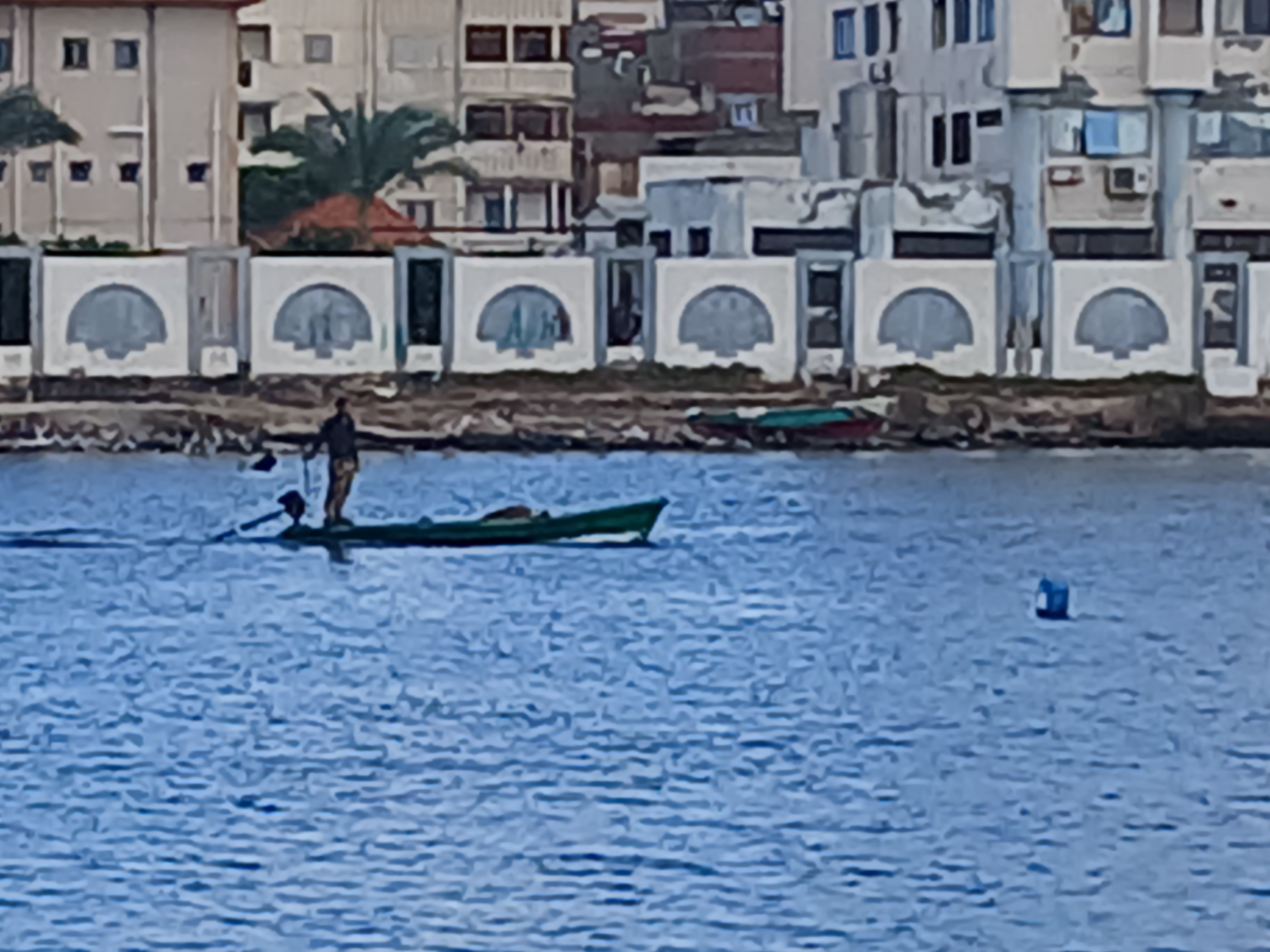 بحيرة المنزلة (1)