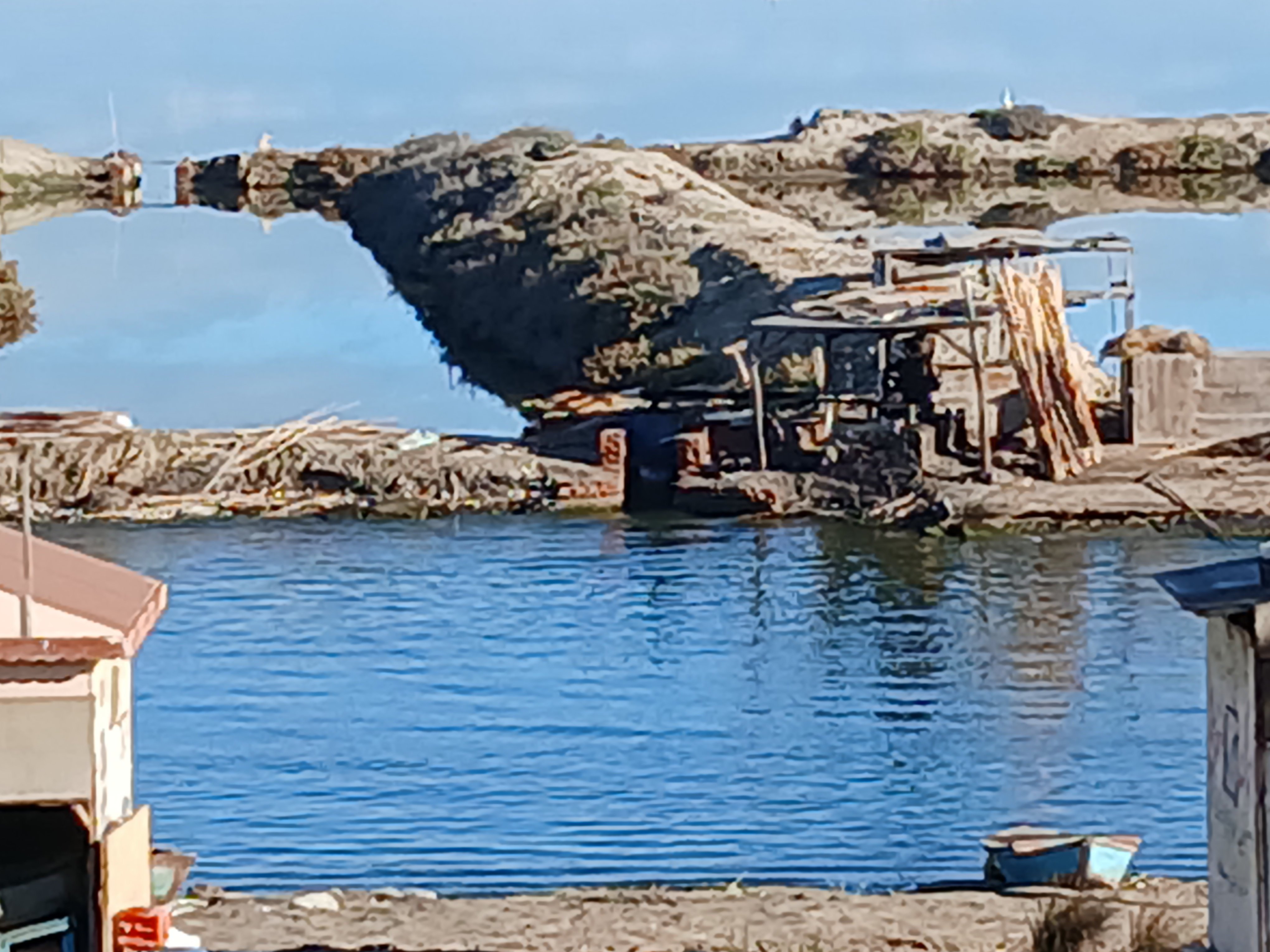 بحيرة المنزلة (2)