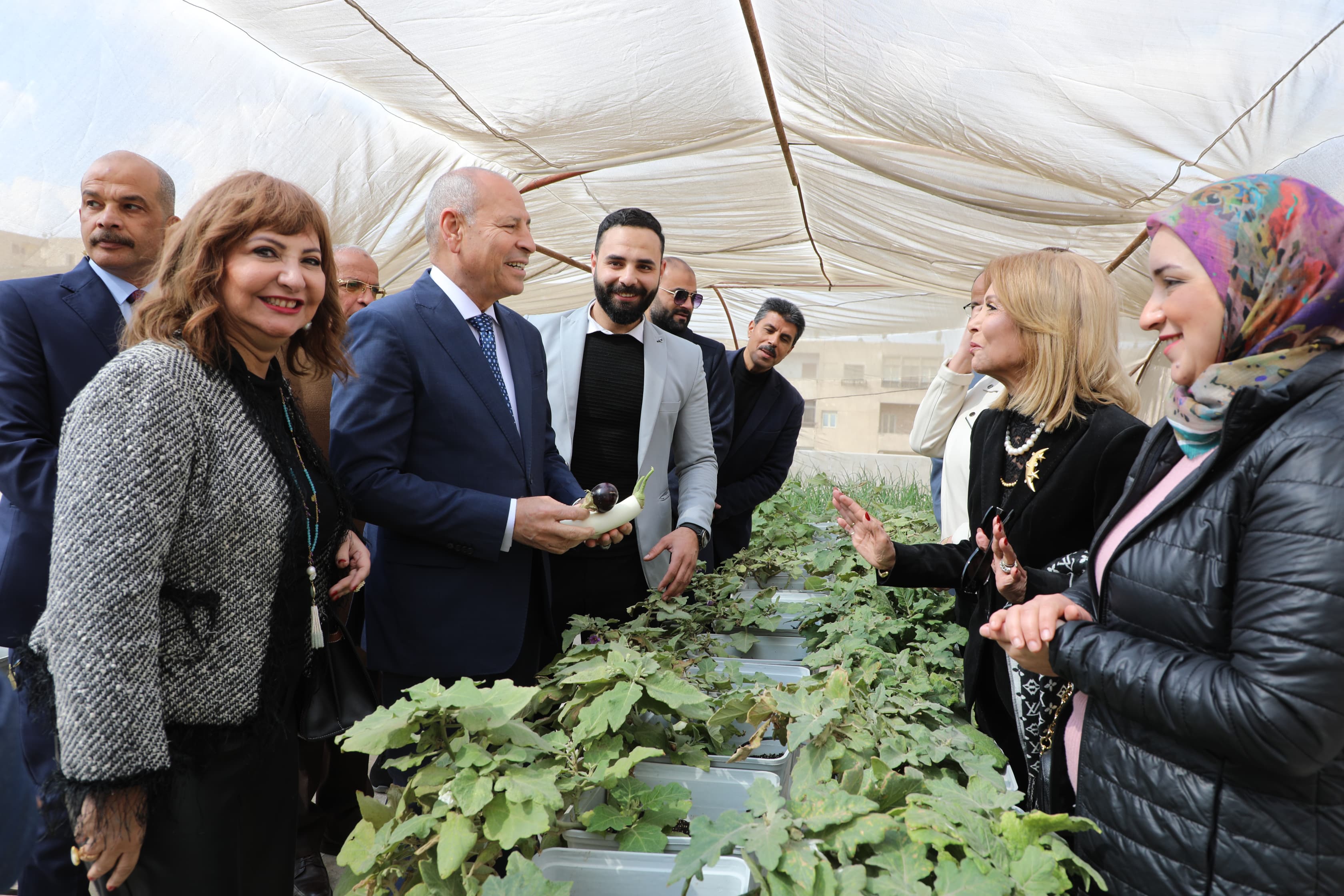 زراعة الاسطح