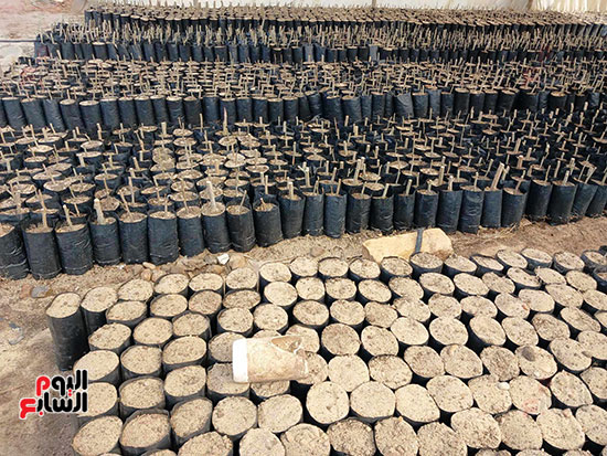 مشروع-الحرير-بالشرقية