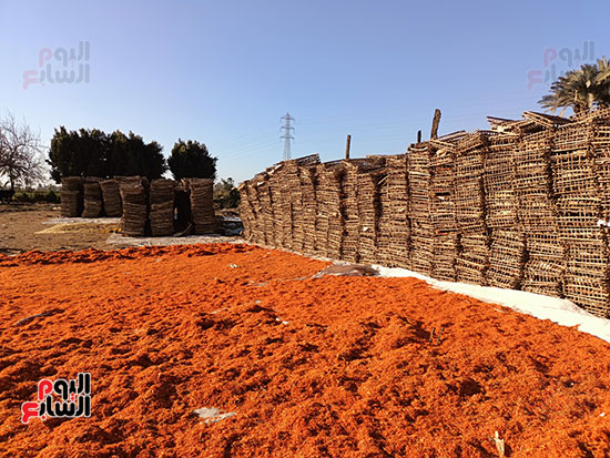 مناشر-النباتات-الطبية-والعطرية مناشر-النباتات-الطبية-والعطرية