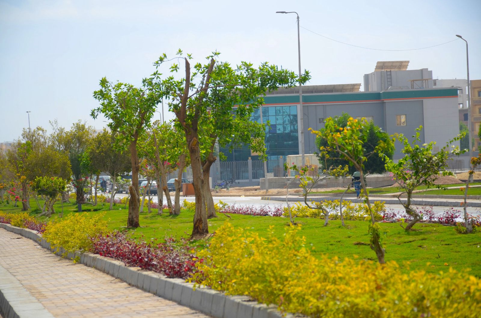 مشروعات الطرق واللاند سكيب داخل مدينه سوهاج الجديده  (3)