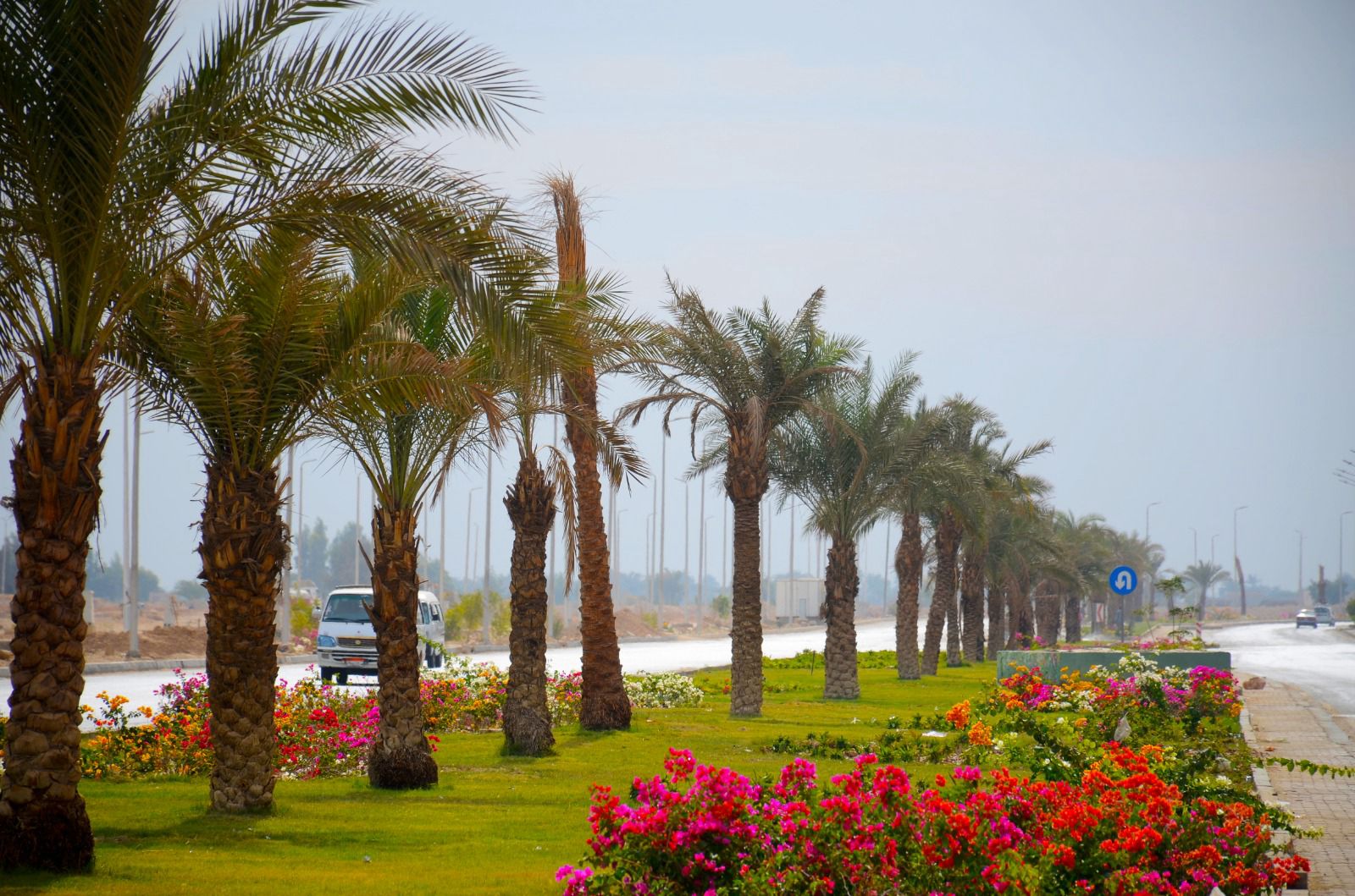 مشروعات الطرق واللاند سكيب داخل مدينه سوهاج الجديده  (4)