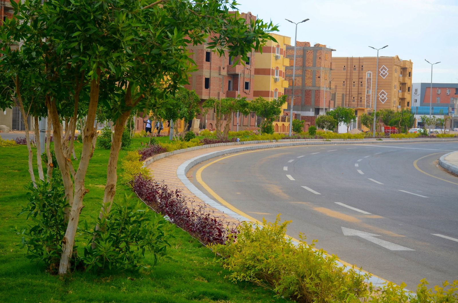 مشروعات الطرق واللاند سكيب داخل مدينه سوهاج الجديده  (7)