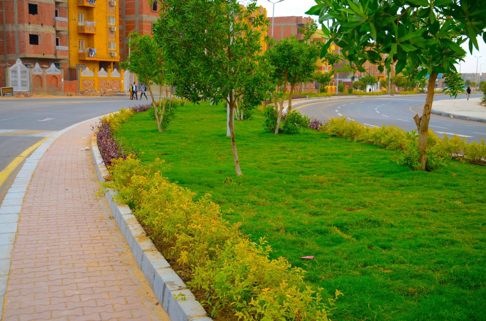 مشروعات الطرق واللاند سكيب داخل مدينه سوهاج الجديده  (2)