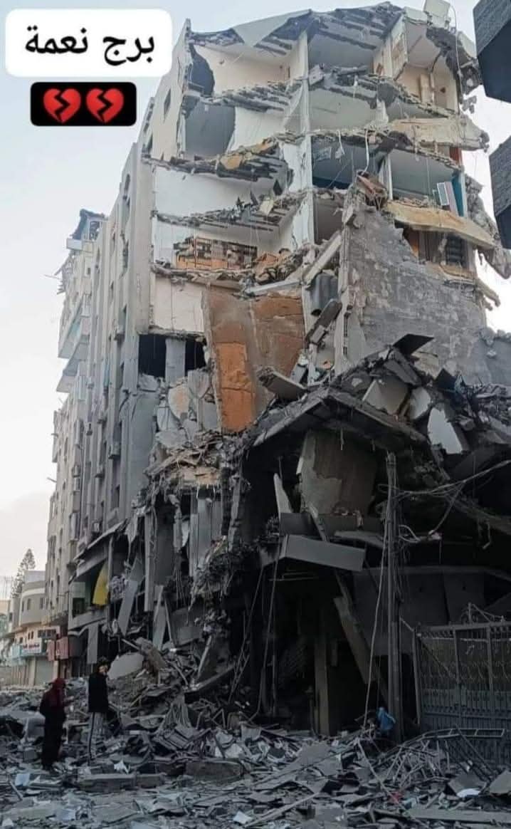 مكتبة مركز التخطيط الفلسطيني