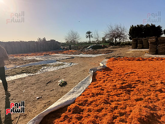 مناشر-عباد-القمر- مناشر-عباد-القمر-