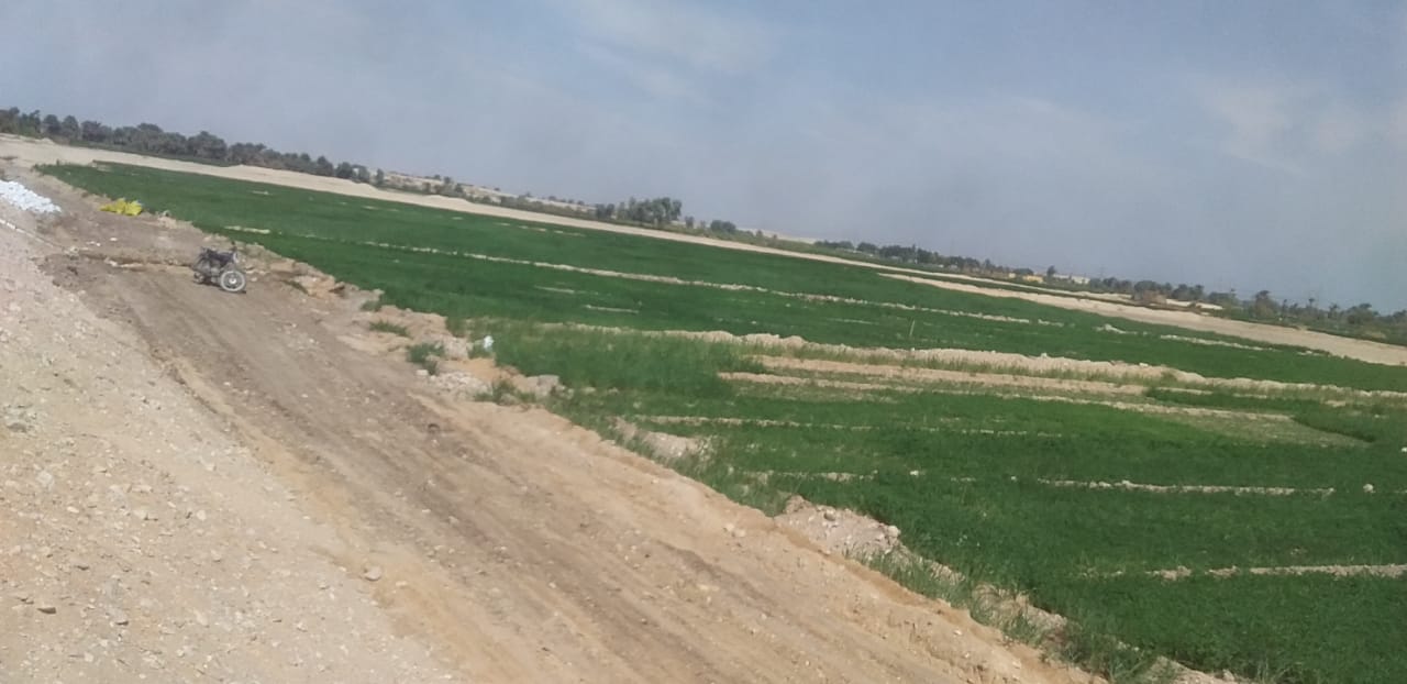 جانب من استرداد حالتي تعدي علي أراضي أملاك الدولة بالأقصر