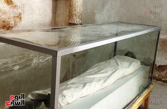 تابوت-ايزادورا-_1 تابوت-ايزادورا-_1