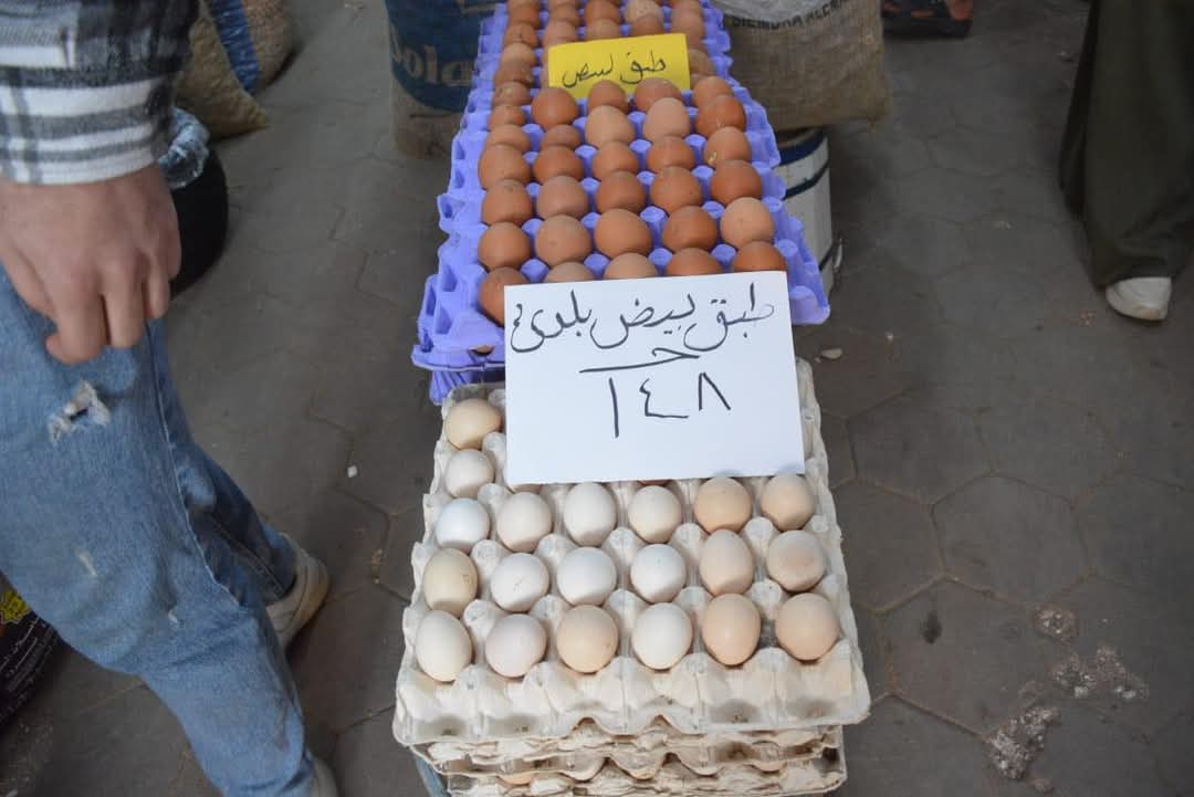 البيض_1 البيض_1