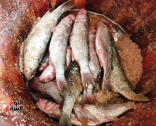 محال-بيع-الفسيخ-في-الغربية- محال-بيع-الفسيخ-في-الغربية-
