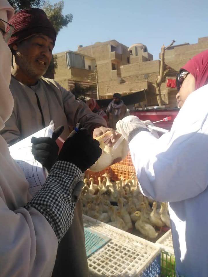 للإطمئنان على سلامة الطيور للإطمئنان على سلامة الطيور